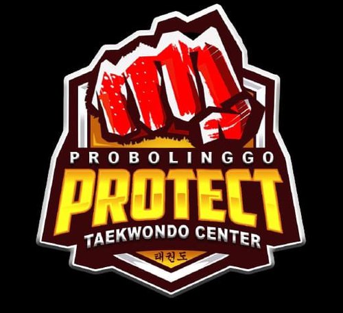 Taekwondo Indonesia Dojang PROTECT ti-protrect.com